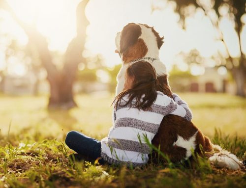 Still Part of the Family: Including a Pet’s Memory in Everyday Life